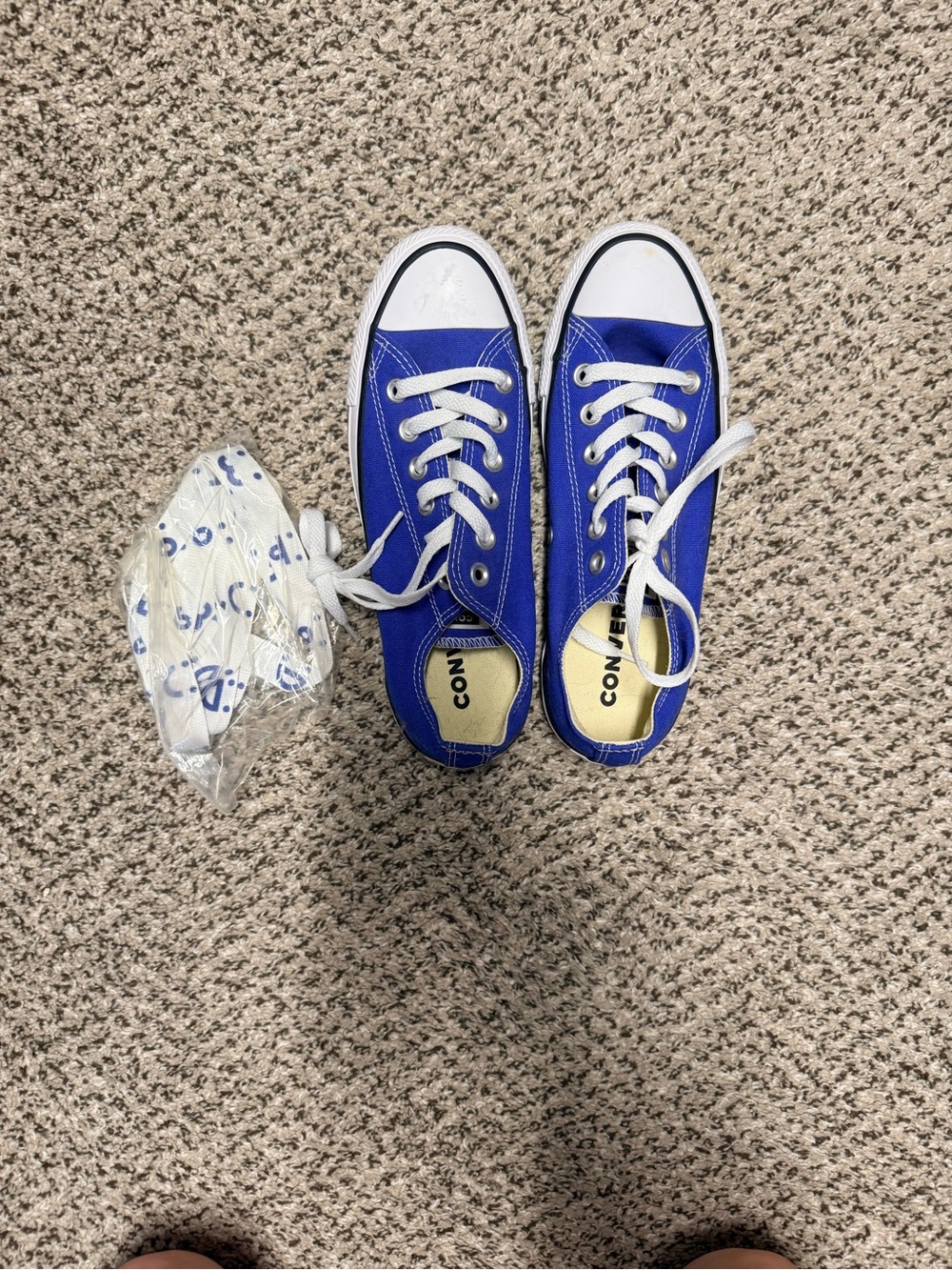 Converse Low Top Canvas Sneakers in Blue